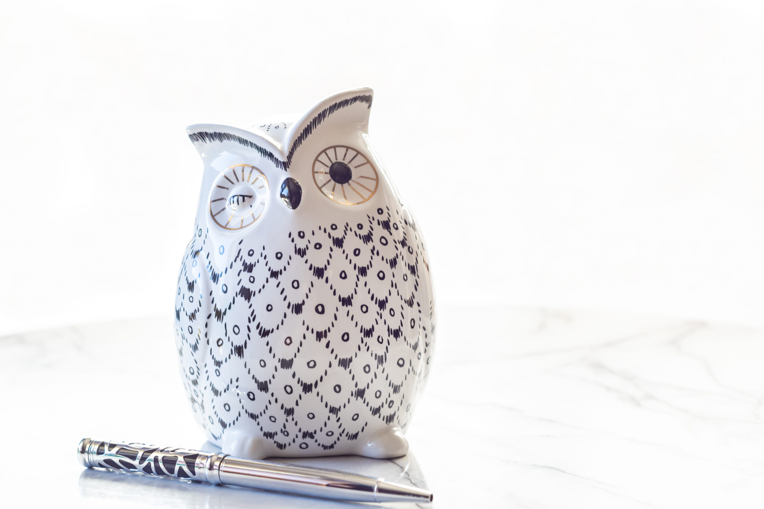 A white and black ceramic owl and a silver pen symbolise the knowledge needed to mentor an author to publication.